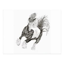 Coloured-Horse Postcard