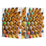 Coloured pencils binder file folder