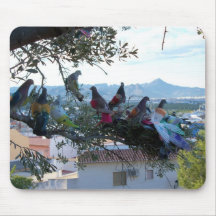 Coloured Pigeons. Mouse Pad