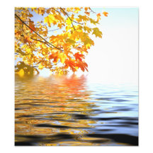 Colourful autumn leaves with water reflection art photo