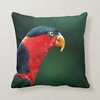 Colourful Bird Throw Pillow