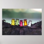 Colourful Diversity Gummy Bears Photography Poster