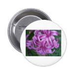 Colourful flowers pinback button