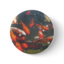 Colourful Koi Fish In a Pond buttons