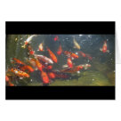 postcard - Koi Fish Art