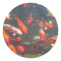 Colourful Koi Fish In a Pond stickers