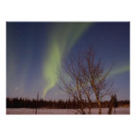 Colourful Northern Sky Photo