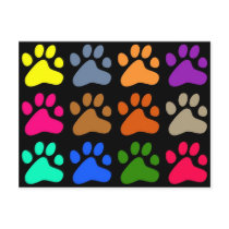 Colourful Paws Post Card