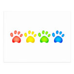 Colourful Paws Postcard