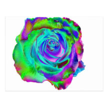Colourful Rose Postcard