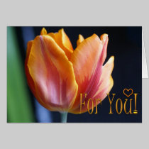 Colourful Tulip and designed text card cards