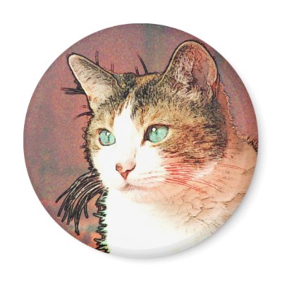 Colourkat Fridge Magnets by REDINARD