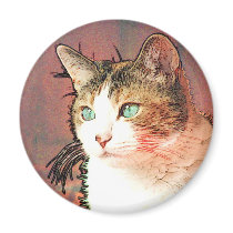 Colourkat magnets by REDINARD Colourkat magnets