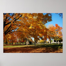 Colours Of Fall Print