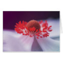Colours of Love cards