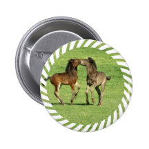 Colt and Foal Playing Button