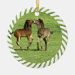 Colt and Foal Playing Ornament