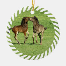 Colt and Foal Playing Ornament