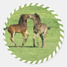 Colt and Foal Playing Sticker