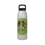 Colt and Foal Playing Water Bottle