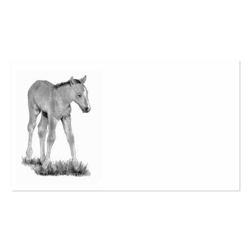 Colt, Horse: Business Card Pencil Art: Realism (front side)