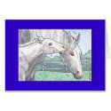 "Colt Kisses 2" cards by smilodonart "Colt Kisses 2" cards