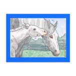 "Colt Kisses 2" Post Cards
