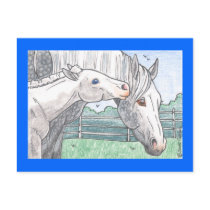 "Colt Kisses 2" Post Cards