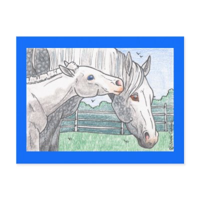 "Colt Kisses 2" Post Cards by smilodonart
