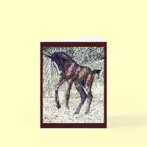 Colt Notecards