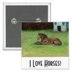 Colt painting quarter horse on items buttons