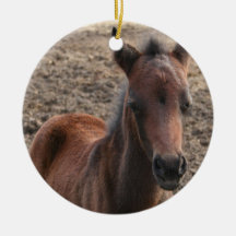 Colt Photo Ornament