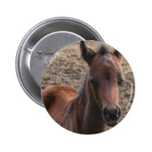 Colt Photo Round Button