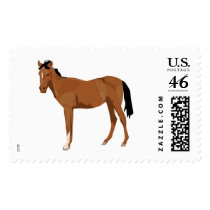 Colt Portrait Postage Stamp