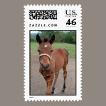 colt postage