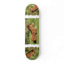 Colt Resting Design Skateboard