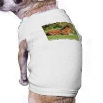Colt Resting in Grass Dog Shirt
