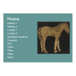 Colt - Square Animals Illustration Business Cards