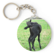Colt's Itchy Bumm Key Chains
