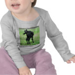 Colt's Itchy Bumm t-shirts