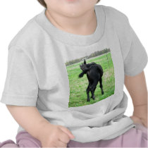 Colt's Itchy Bumm Tshirts