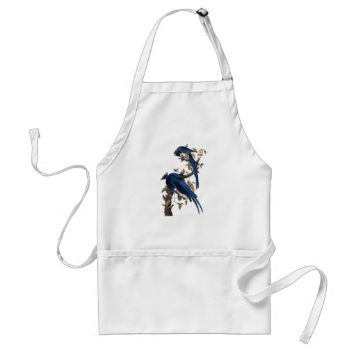 Columbia Jay by John James Audubon Aprons