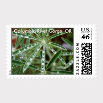 Columbia River Gorge, OR Postage stamps