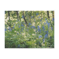Columbia River Gorge postcards
