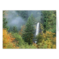 Columbia River, Oregon Greeting Cards