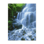 Columbia River Post Cards