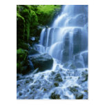 Columbia River Post Cards