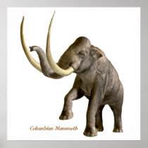 columbian, mammoth, animal, pleistocene, big, big5, body, dangerous, ears, elephant, elephants, endangered, enormous, expedition, fauna, five, gentle, giant, gigantic, goliath, head, herbivore, huge, isolated, ivory, large, legs, mammal, megafauna, monster, nature, pachyderm, plants, power, south, strength, strong, tail, titan, travel, Poster with custom graphic design