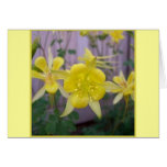 Columbine amarillo tarjeton