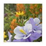 Columbine and Friends Tiles